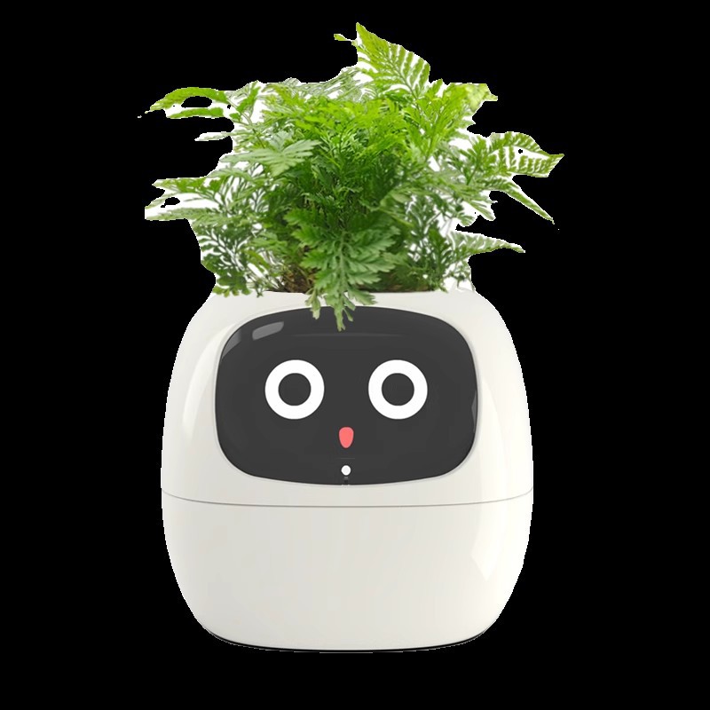 Slimme Mimi Bloempot met gezic - Self Watering Pot Sensor recensie en prijs
