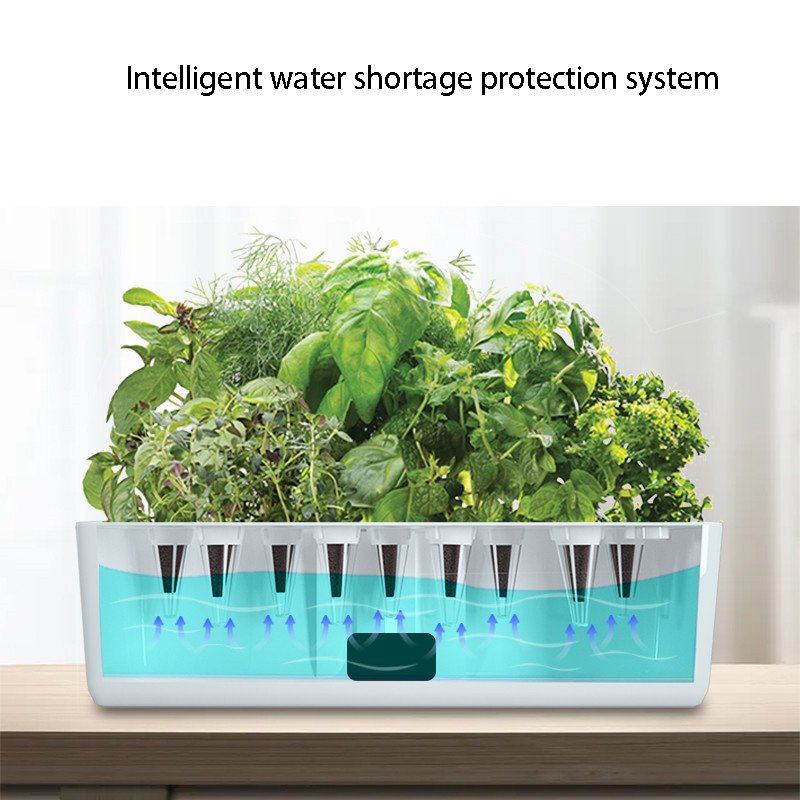 Smart Hydrocultuur Groeisystee - Smart Garden Domes recensie en prijs